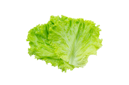 lettuce